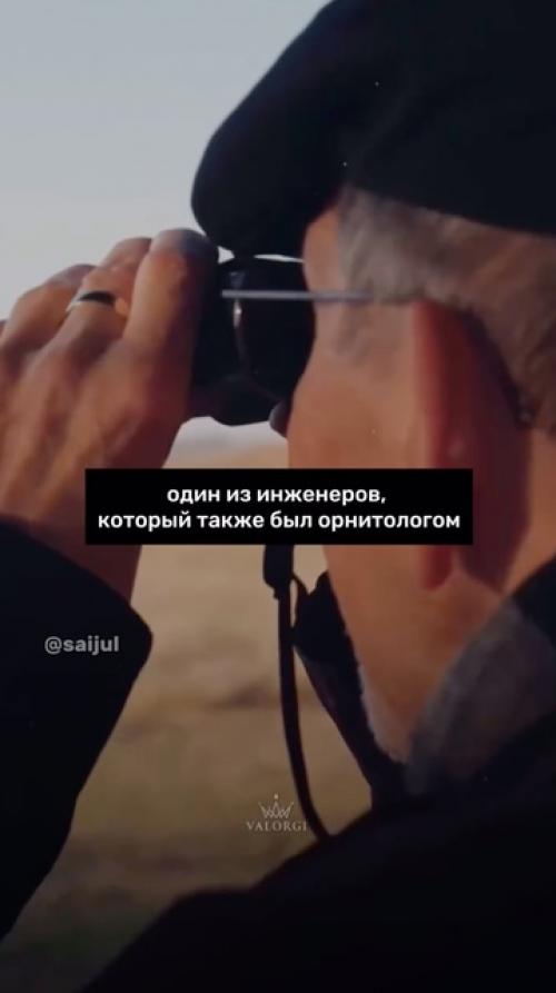 Целая отрасль науки - бионика, изучающая природу с целью применения в промышленности. 03