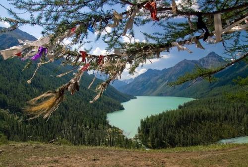 Проклятье алтайской мумии. 02 Проклятье алтайской мумии. 02