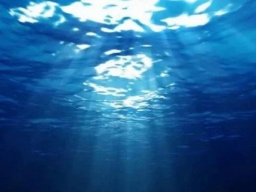 Ученые шестое массовое вымирание в древнем прошлом земли обнаружили. 03