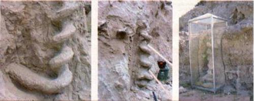 Штопоры дьявола. Ezomir.