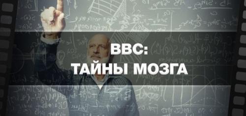 Человеческий мозг - самый загадочный и малоизвестный науке орган.