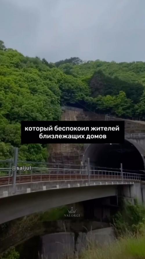 Целая отрасль науки - бионика, изучающая природу с целью применения в промышленности. 02
