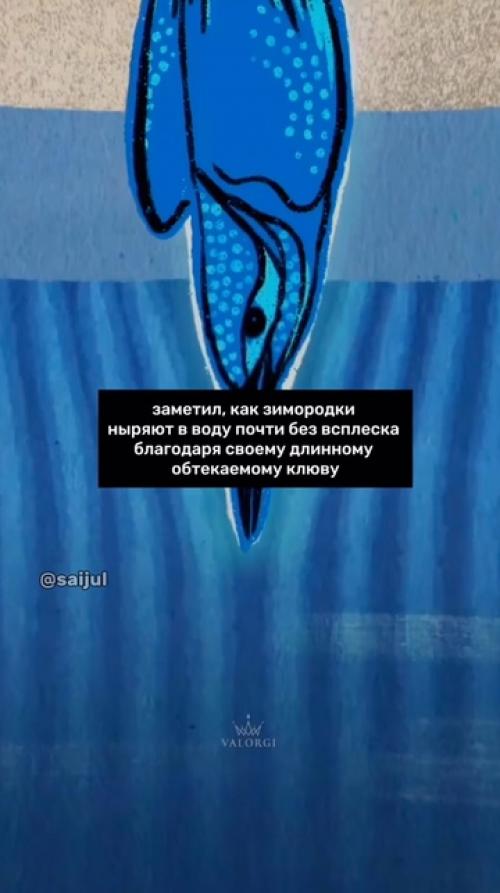Целая отрасль науки - бионика, изучающая природу с целью применения в промышленности. 04