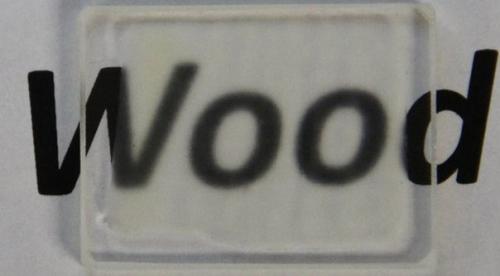 Американские учёные прозрачную древесину создали.