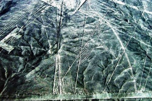 Кому твои послания, загадочная пустыня Наска? 07