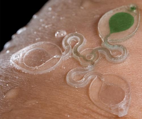 Создан новый датчик, который будет определять состояние здоровья по анализу пота. 01