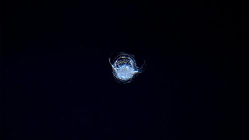 Фото дня последняя вещь, которую хотелось бы увидеть в иллюминаторе мкс.