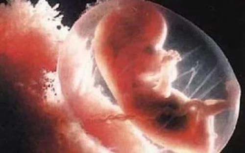 Аборигены - результат смешанных браков между людьми и пришельцами? 01