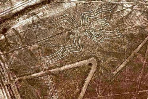 Кому твои послания, загадочная пустыня Наска? 06