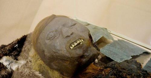 Российские генетики начали поиск родственников мальчика, 800-летнюю мумию которого нашли в зеленом яру под Салехардом в июле 2015 года. 02