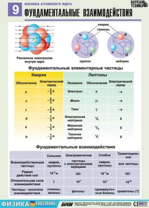 Просыпайся!  С добрым утром! 08