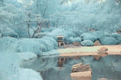 Американский фотограф, публикующий в сети фото под ником Helios - Spada, создает фантастические инфракрасные фотографии. 05