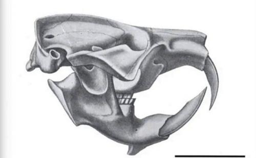 Тайна Дьявольских Штопоров. 04 Тайна Дьявольских Штопоров. 04
