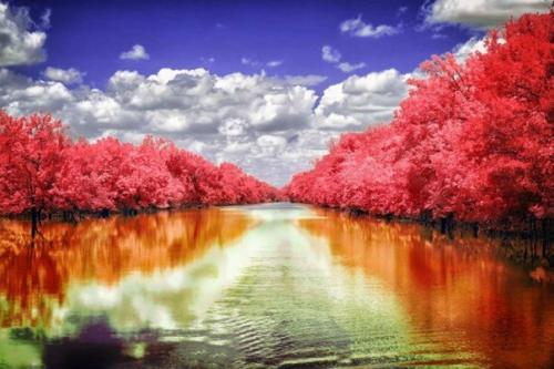 Американский фотограф, публикующий в сети фото под ником Helios - Spada, создает фантастические инфракрасные фотографии. 09