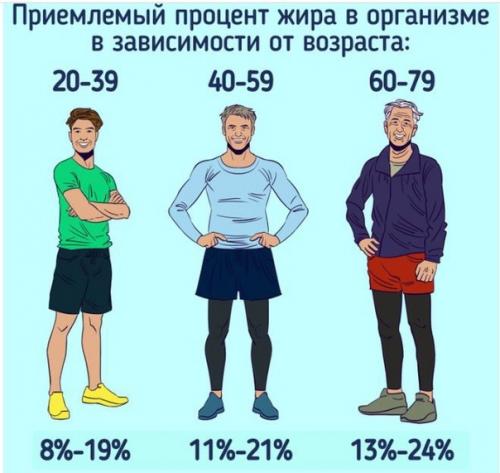 Как узнать процент жира в вашем организме. 07