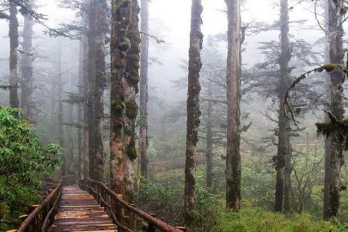 Зловещие Долины Смерти. 06 Зловещие Долины Смерти. 06