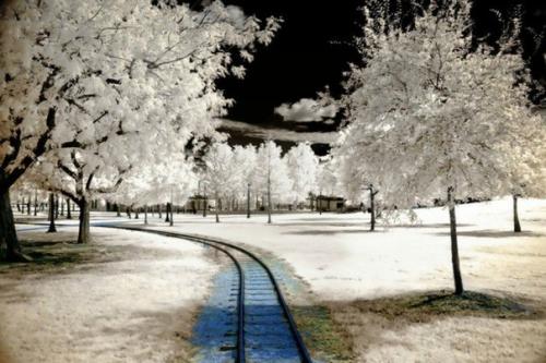 Американский фотограф, публикующий в сети фото под ником Helios - Spada, создает фантастические инфракрасные фотографии. 03