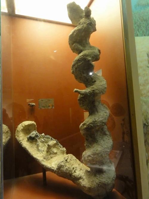 Тайна Дьявольских Штопоров. 03 Тайна Дьявольских Штопоров. 03