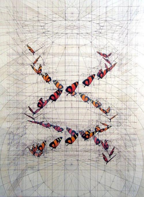 Невероятные чертежи рафаэля араужо. 07