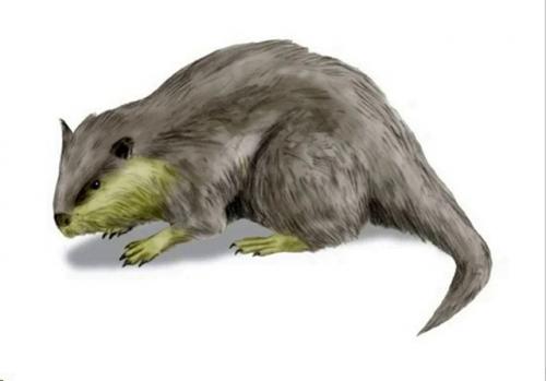 Тайна Дьявольских Штопоров. 02 Тайна Дьявольских Штопоров. 02