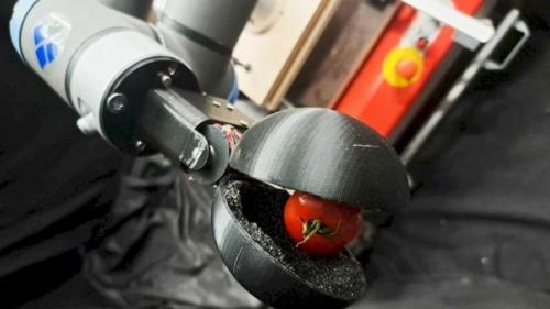 Chatgpt разработал своего первого робота (при помощи людей - ассистентов). 01 Chatgpt разработал своего первого робота (при помощи людей - ассистентов). 01