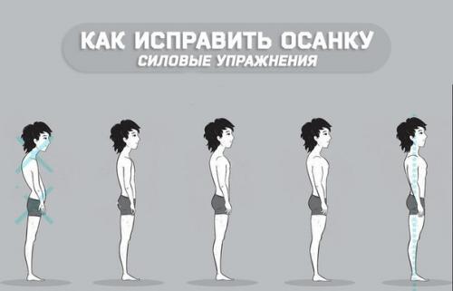 Как исправить осанку (силовые упражнения).