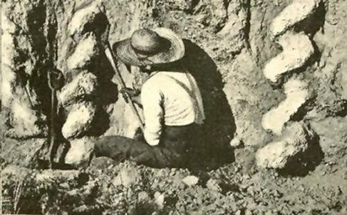 Тайна Дьявольских Штопоров. 01 Тайна Дьявольских Штопоров. 01