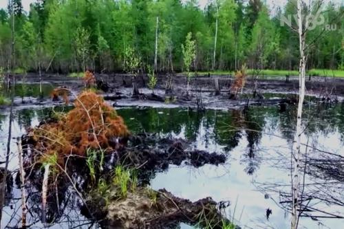 Чертово болото.  Урал. 02