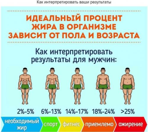 Как узнать процент жира в вашем организме. 06