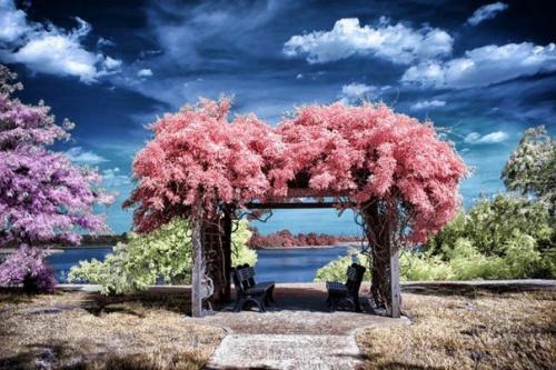 Американский фотограф, публикующий в сети фото под ником Helios - Spada, создает фантастические инфракрасные фотографии. 07