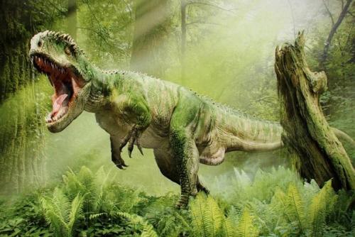 Куда пропали динозавры. 02