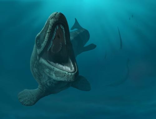 Антаpктиде нaшли первоe яйцо мозaзaвpa, возpаcтом окoлo 68 млн лет. 02