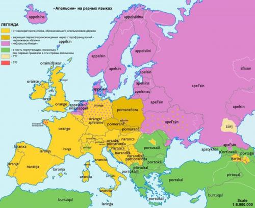 Что русскому ананас, то и немцу ананас. 08