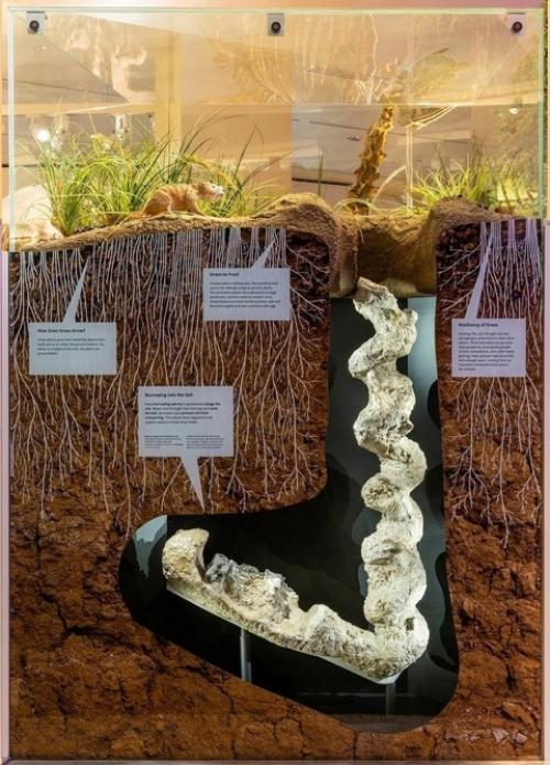 Тайна Дьявольских Штопоров. 05 Тайна Дьявольских Штопоров. 05