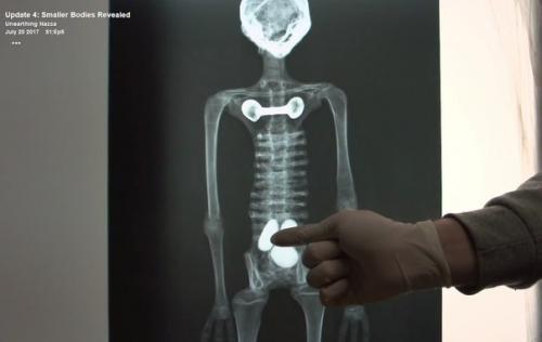 В сети появились фотографии места, где были найдены Инопланетные мумии Наска. 06 В сети появились фотографии места, где были найдены Инопланетные мумии Наска. 06