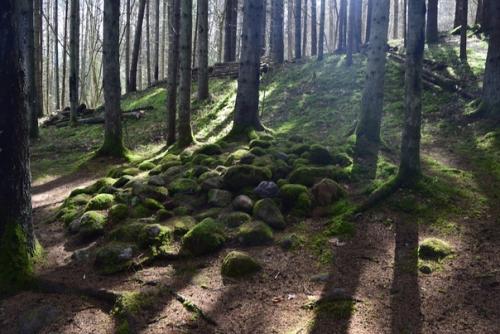 Мистический покайнский лес и племя земгалов. 01 Мистический покайнский лес и племя земгалов. 01