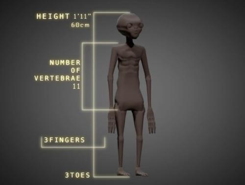 В сети появились фотографии места, где были найдены Инопланетные мумии Наска. 07 В сети появились фотографии места, где были найдены Инопланетные мумии Наска. 07