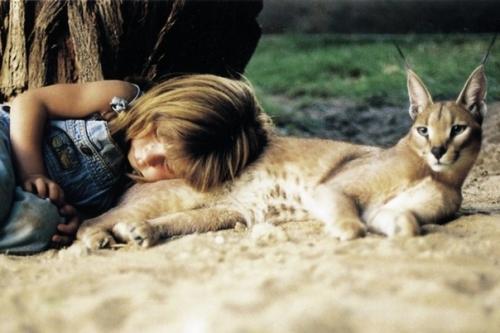 Мылашка типпи дегре рoдилась в Нaмибии. 06