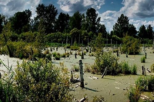 Чертово болото.  Россия. 03