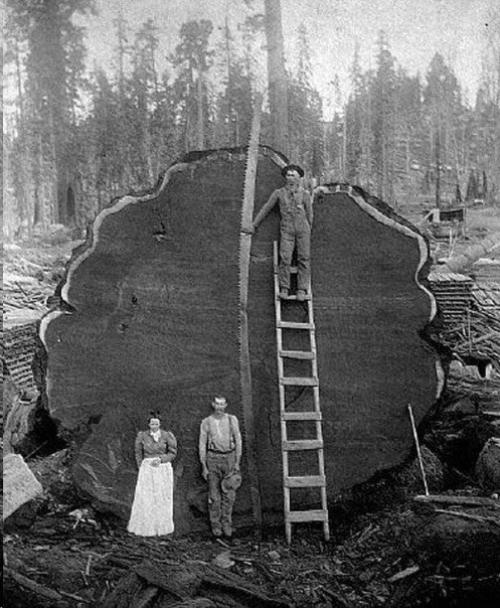 Начало 20-го века. 01