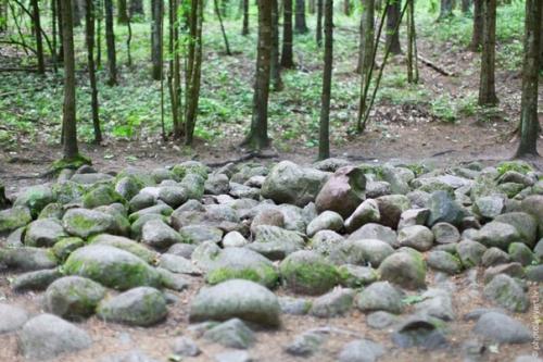 Мистический покайнский лес и племя земгалов. 02 Мистический покайнский лес и племя земгалов. 02