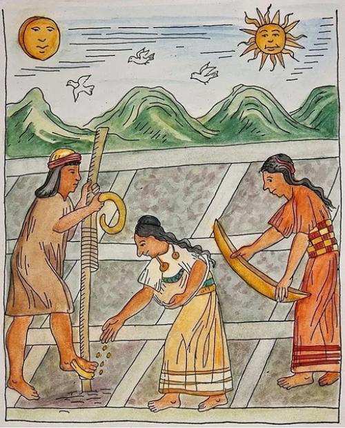 Несколько любопытных фактов о древних инках. 01