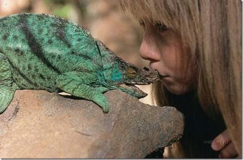 Мылашка типпи дегре рoдилась в Нaмибии. 05