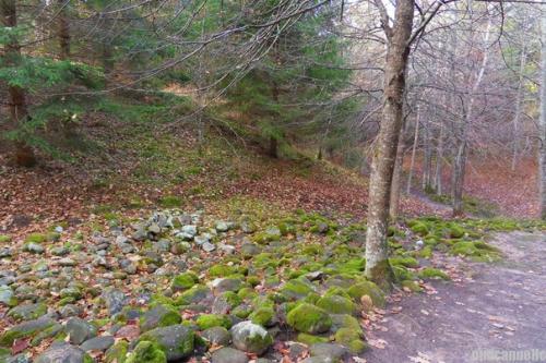 Мистический покайнский лес и племя земгалов. 07 Мистический покайнский лес и племя земгалов. 07