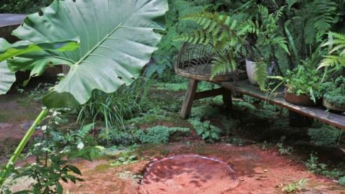 Во дворе ресторана в Китае нашли следы динозавров возрастом 100 млн лет. 01