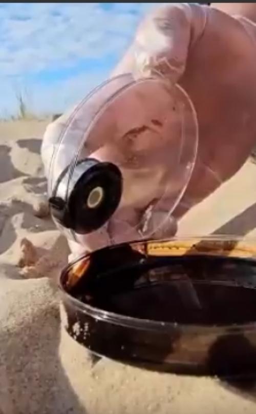 Мы исследуем неизведанное: тайные особенности магнитов. 01