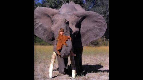 Мылашка типпи дегре рoдилась в Нaмибии. 08