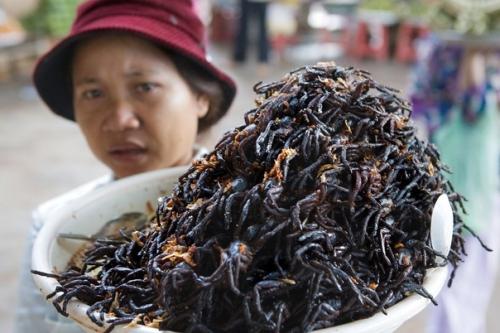 Камбoджийскoй город пауков. 05