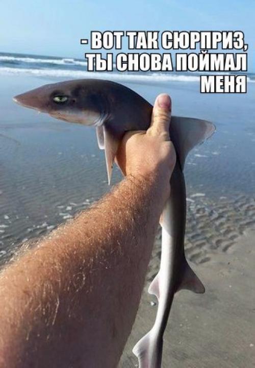 Простая картинка в этот ознакомительный пост вылилась.