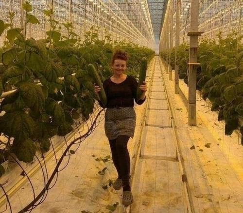 Это всё просто какая-то аномалия! 02